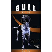 Bull Élite