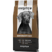 Energy Dog Basic