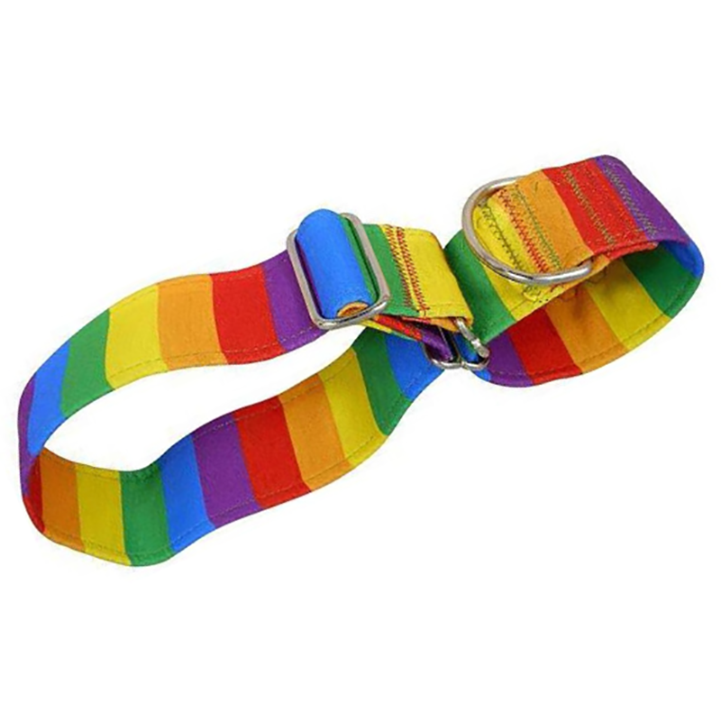 Collar MartinGale Rainbow