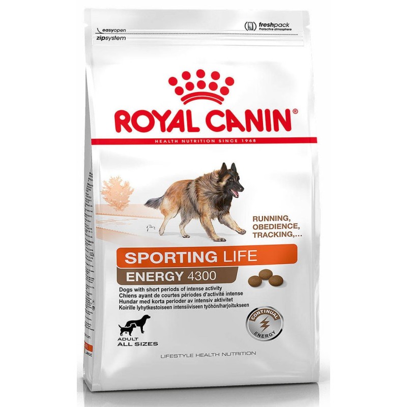 Royal Canin Energy 4300