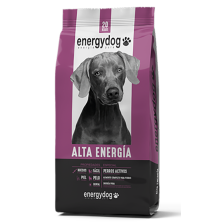 Energy Dog Alta Energía