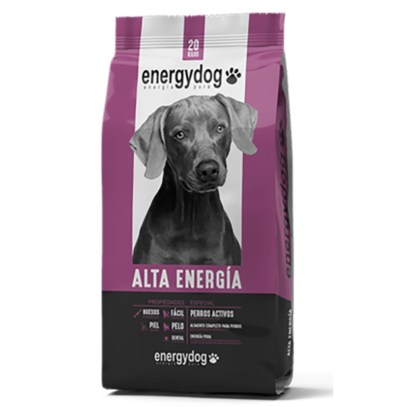 Energy Dog Alta Energía